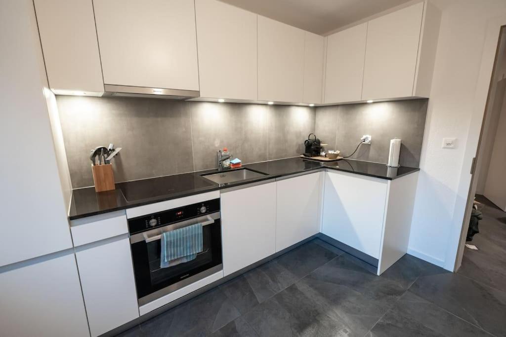 Appartement Spacieux Au Centre De La Gruyere Брок Экстерьер фото
